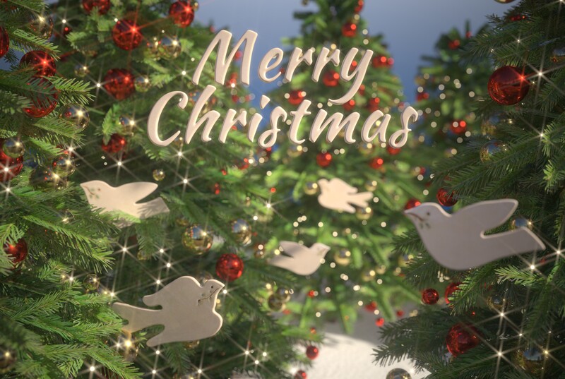 2019: Christmas Card