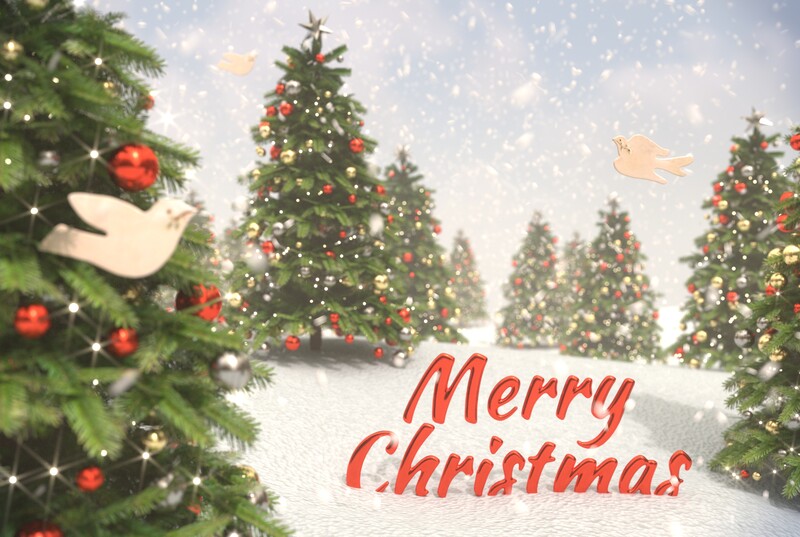 2020: Christmas Card