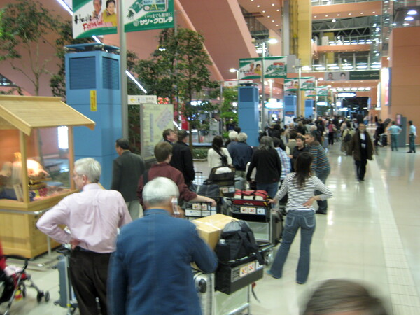 Passengers waiting in long, long, line for hotel accommodations.